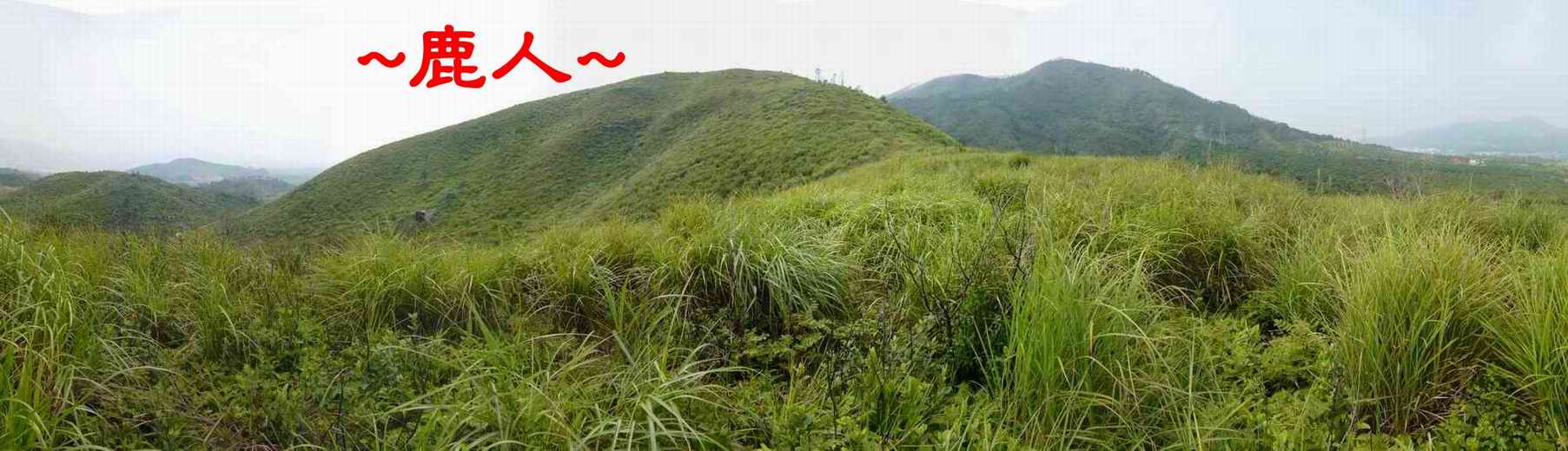 6由龍砂上端側看父母山入首穴山.JPG