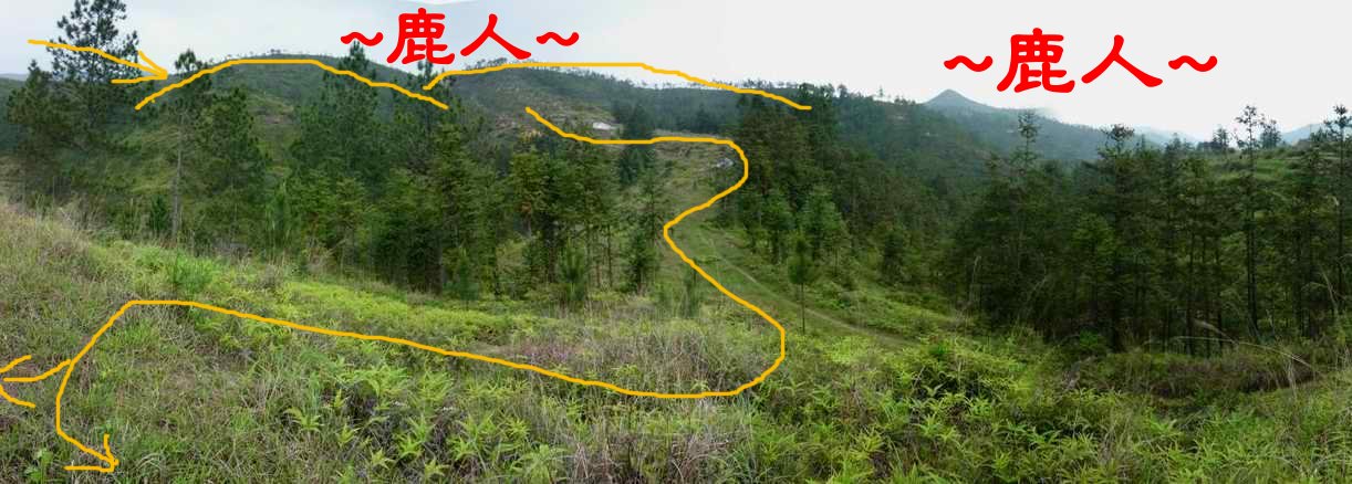 6看下脈束氣照.JPG
