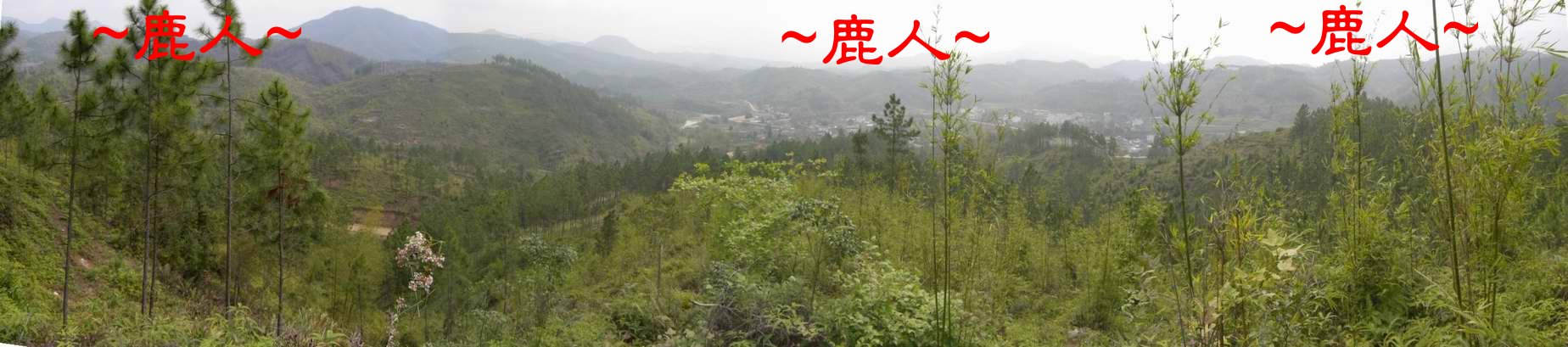 8父母山頂看堂局照.JPG