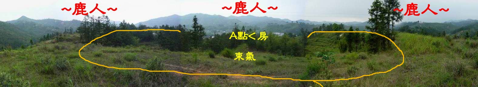 8由星頂前看穴A束脈龍虎砂照.JPG