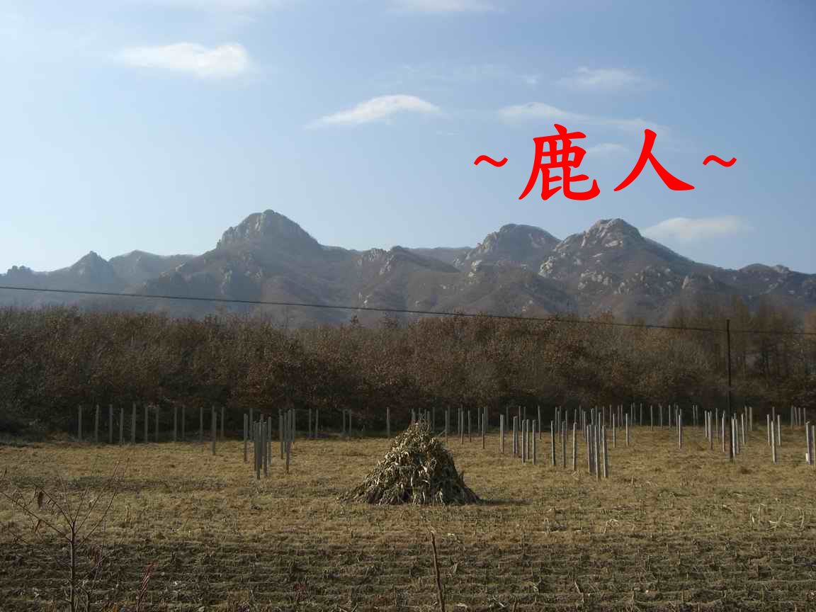 8延途看.JPG