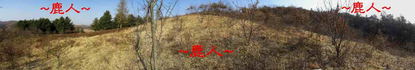 9在穴唇近看帳砂與穴星照.JPG