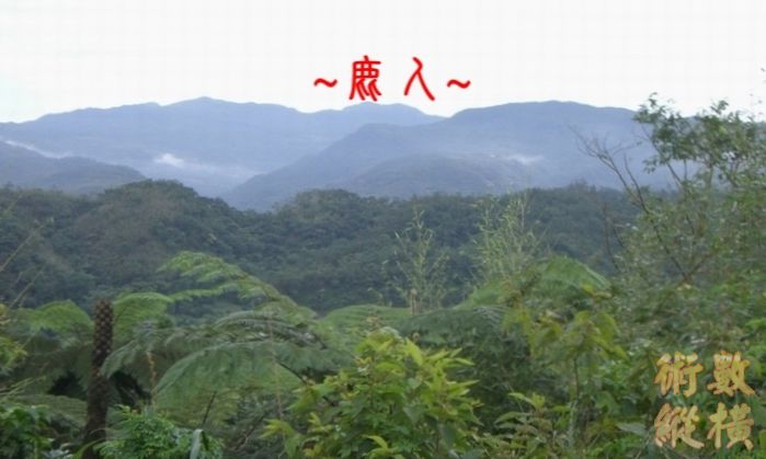 9複製 朝案.jpg