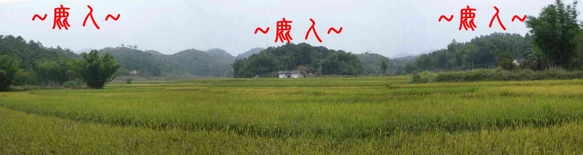 9遠看穴場全景1.JPG