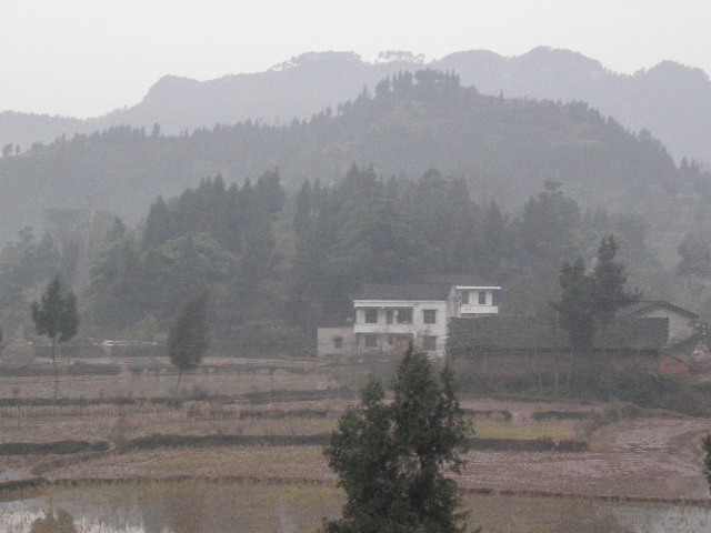 PC060115.JPG