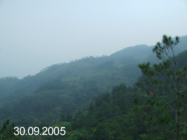 PICT1055.JPG