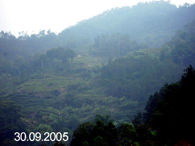 PICT1057.jpg