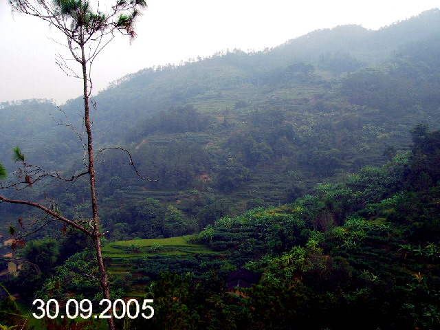 PICT1060.jpg
