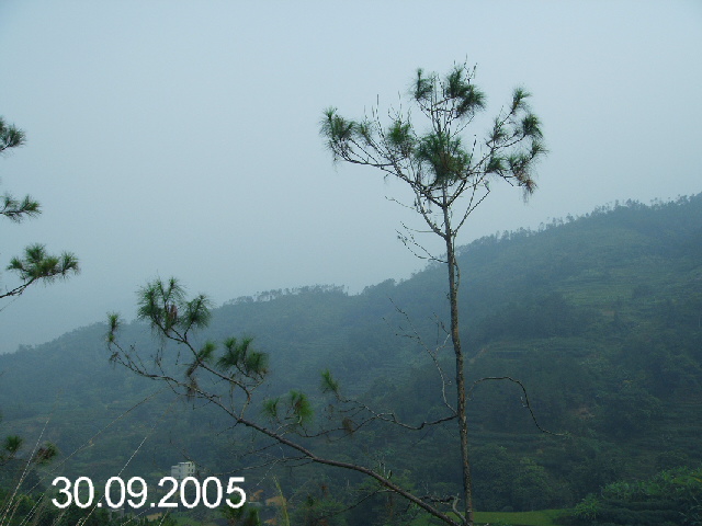 PICT1064.JPG