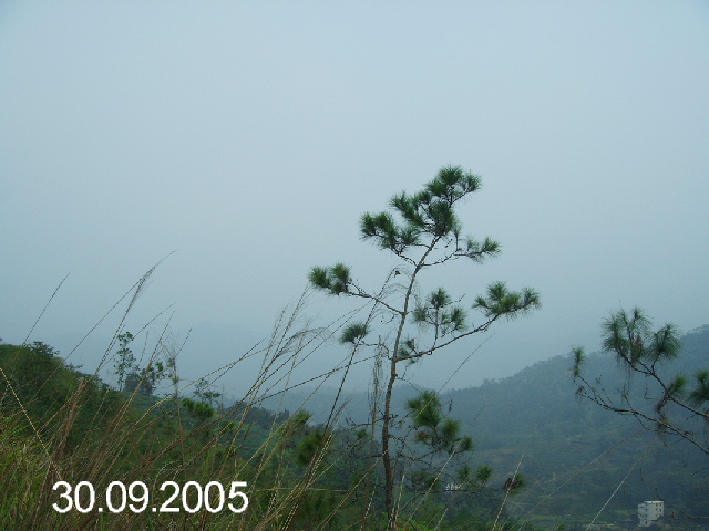PICT1065.JPG