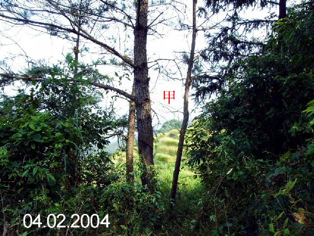 PICT1225.jpg