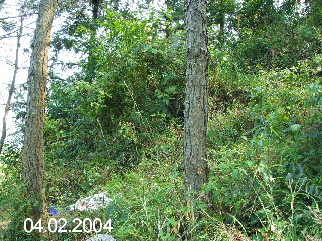 PICT1226.JPG