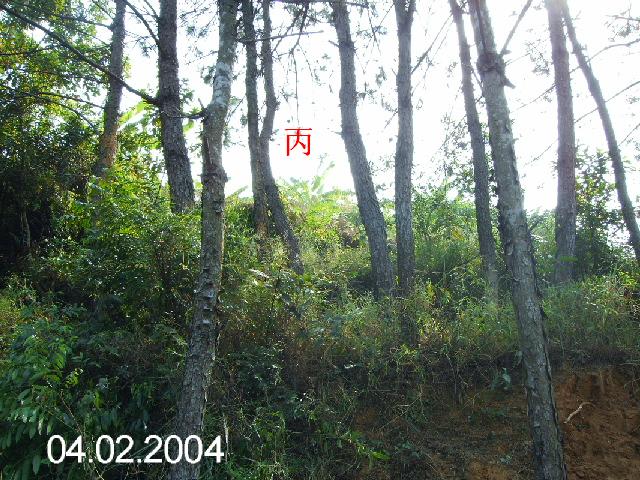 PICT1228.JPG