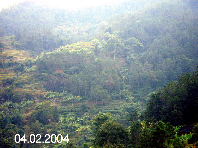 PICT1230.jpg