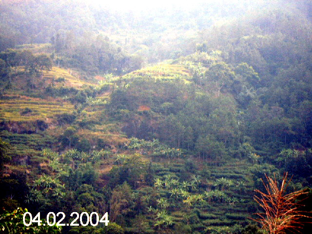 PICT1233.jpg