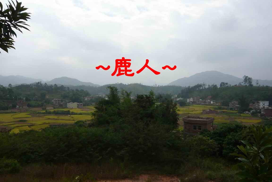 A14再上穴星上再瞧一瞧.JPG