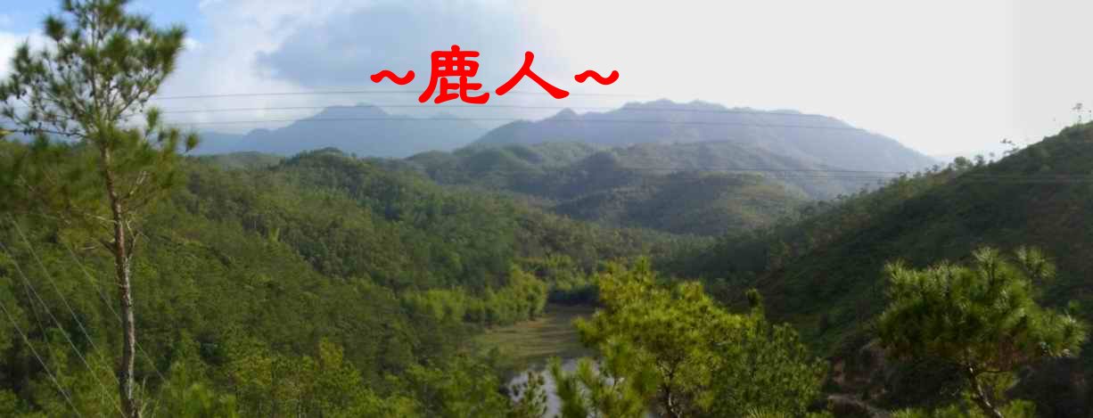 A2穴星頂左後看來龍照.JPG