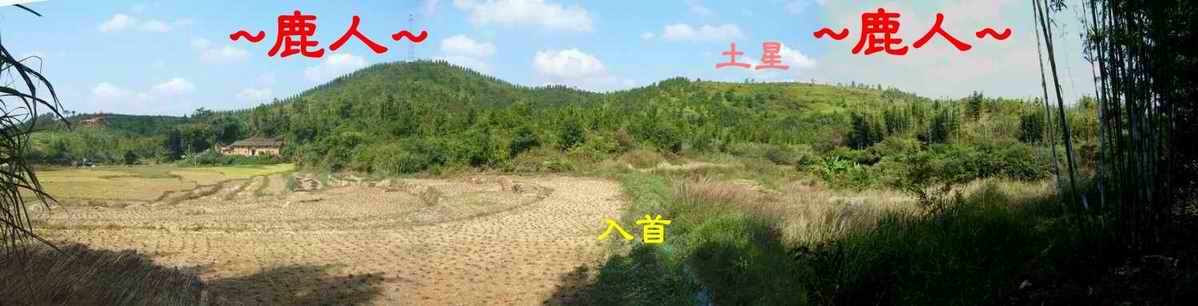 A5由穴星後側看父母山下脈與入首照.JPG