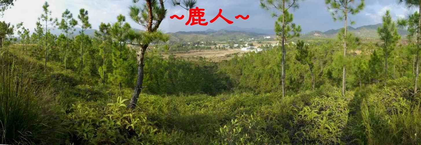 A5穴場上方看龍虎交抱與朝堂照1.JPG