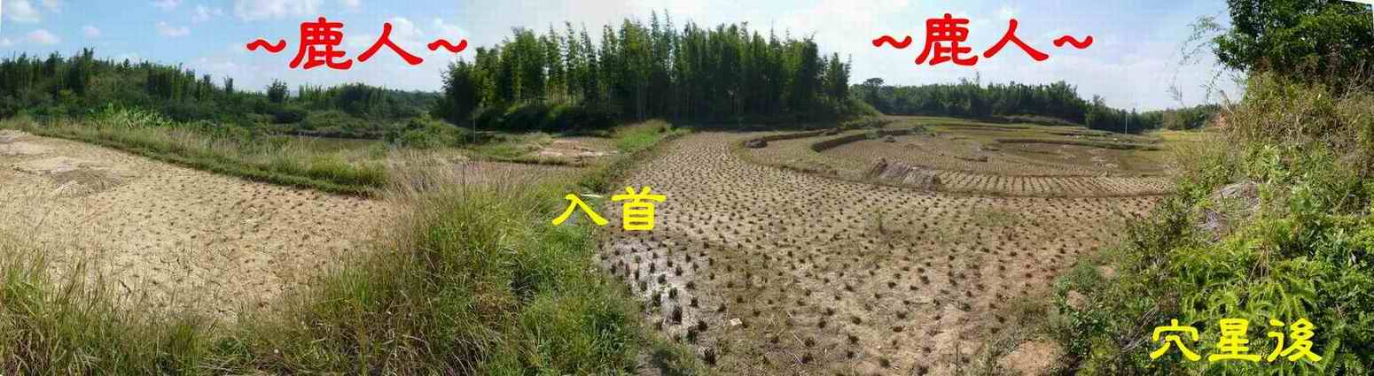 A6由穴星後看入首照.JPG