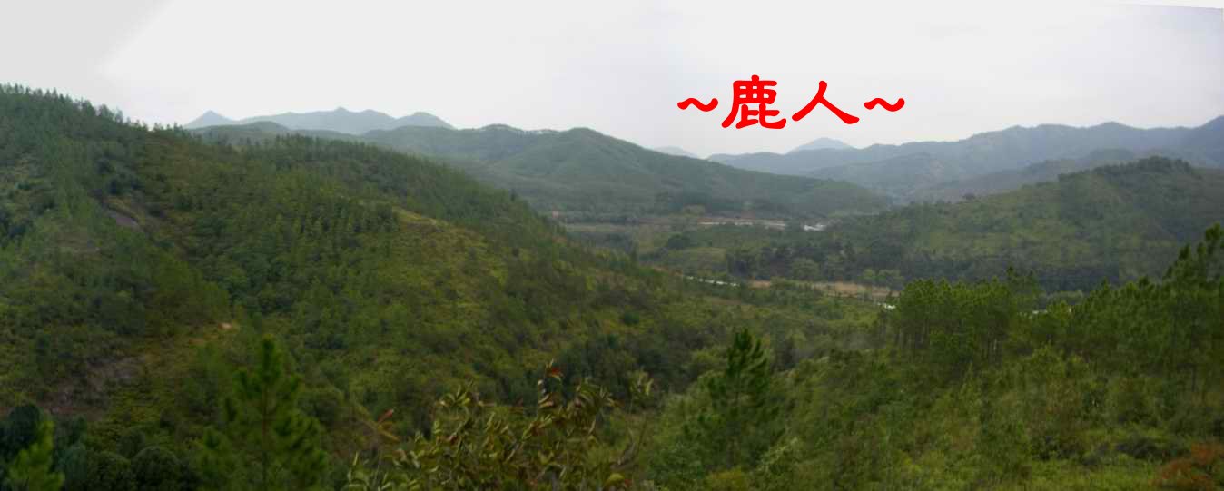 A6星腰側看出水方.JPG