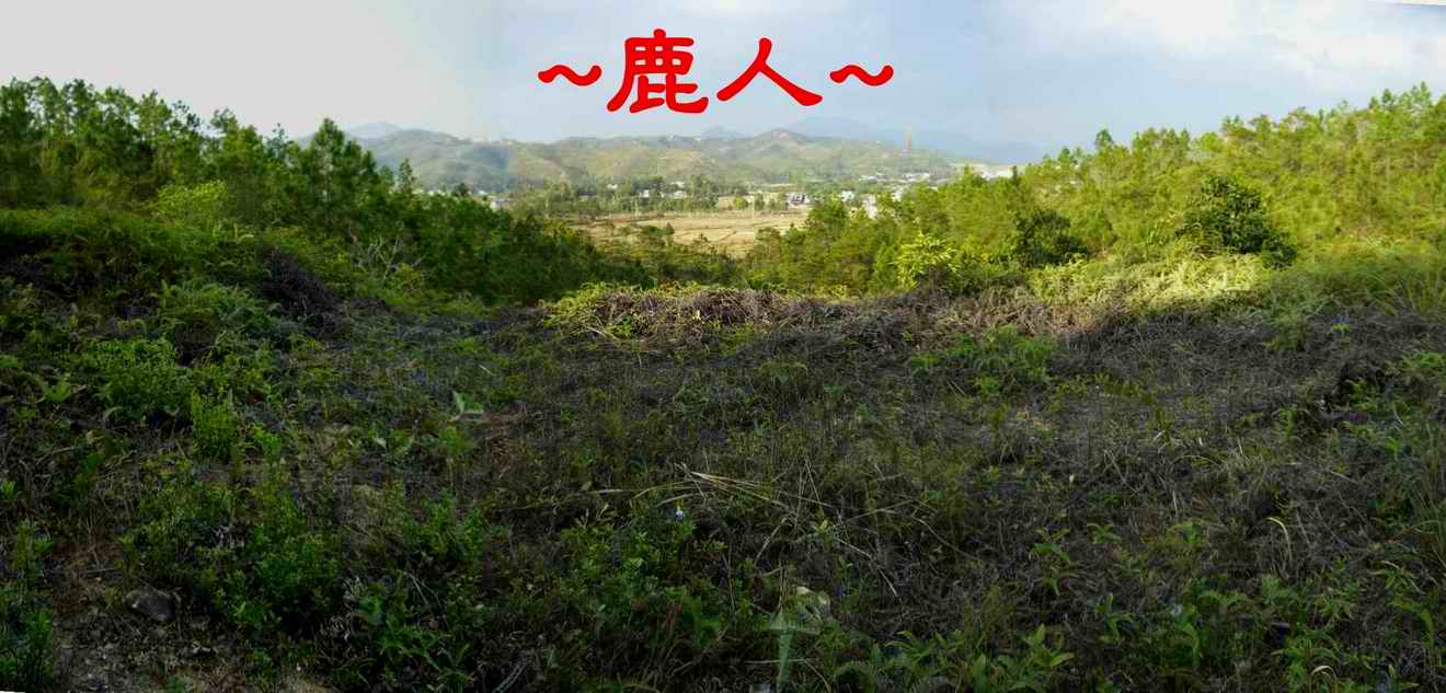A7看穴唇與朝堂照.JPG