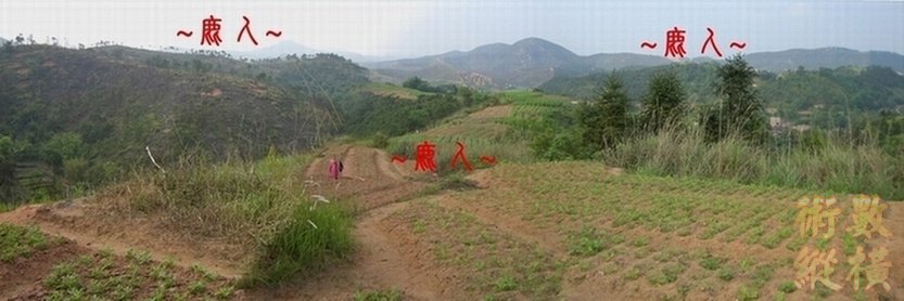 A7看來龍束氣一節特寫及左帳砂全照.JPG