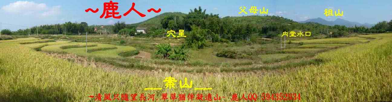 A8由案山看穴場全照.JPG