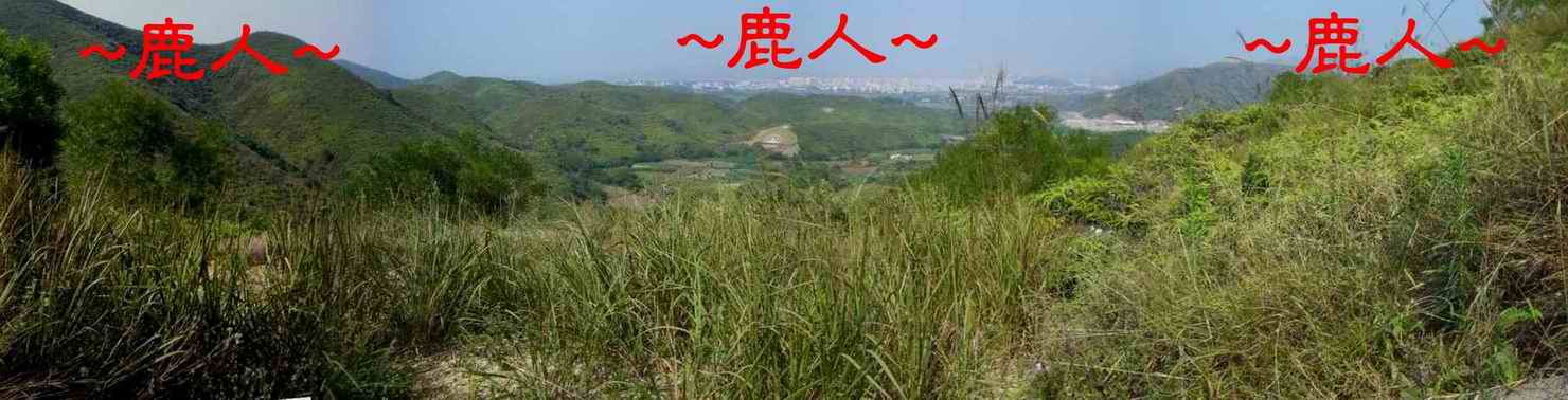 A穴場看堂局照.JPG