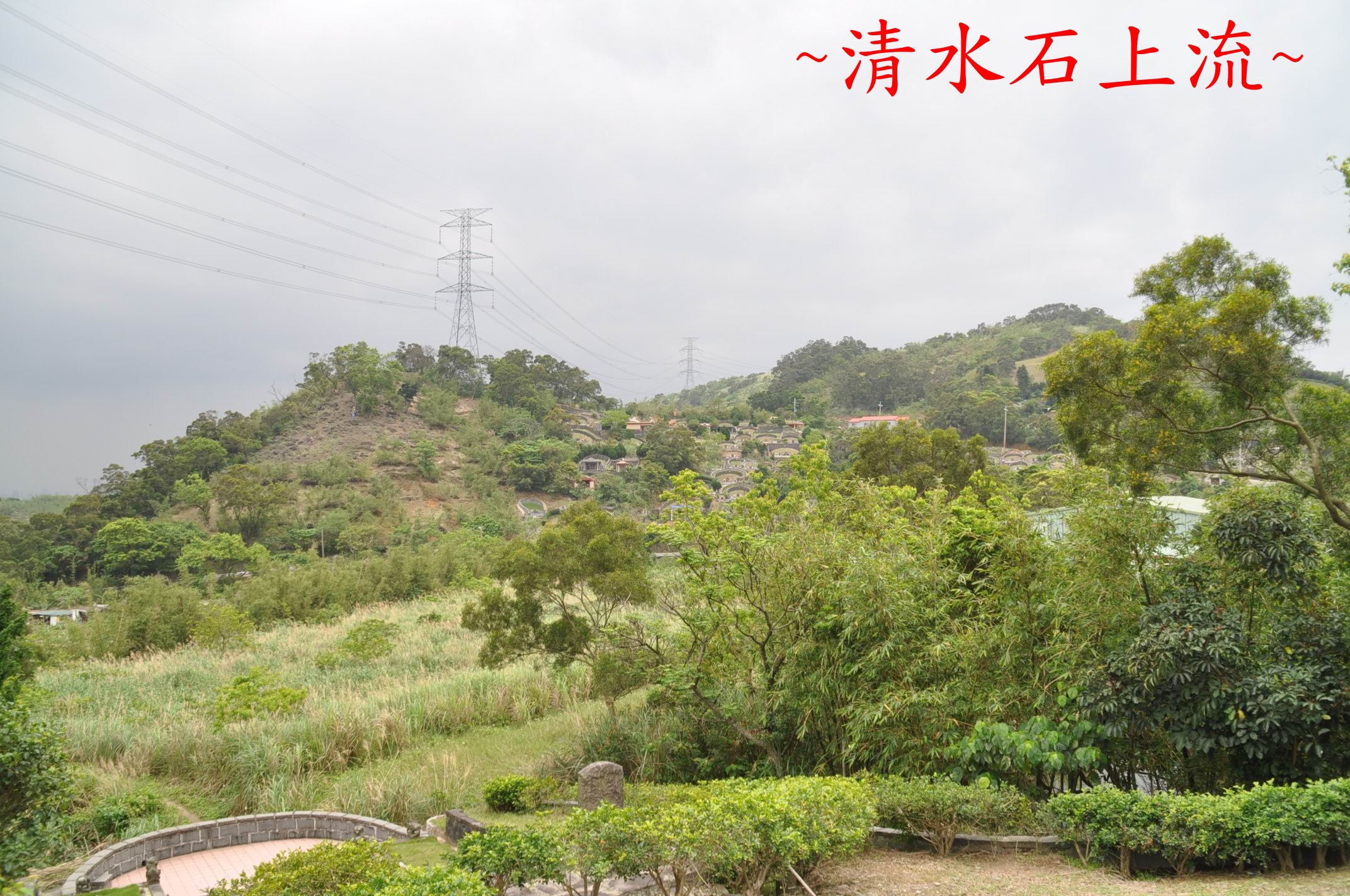 A虎砂.jpg