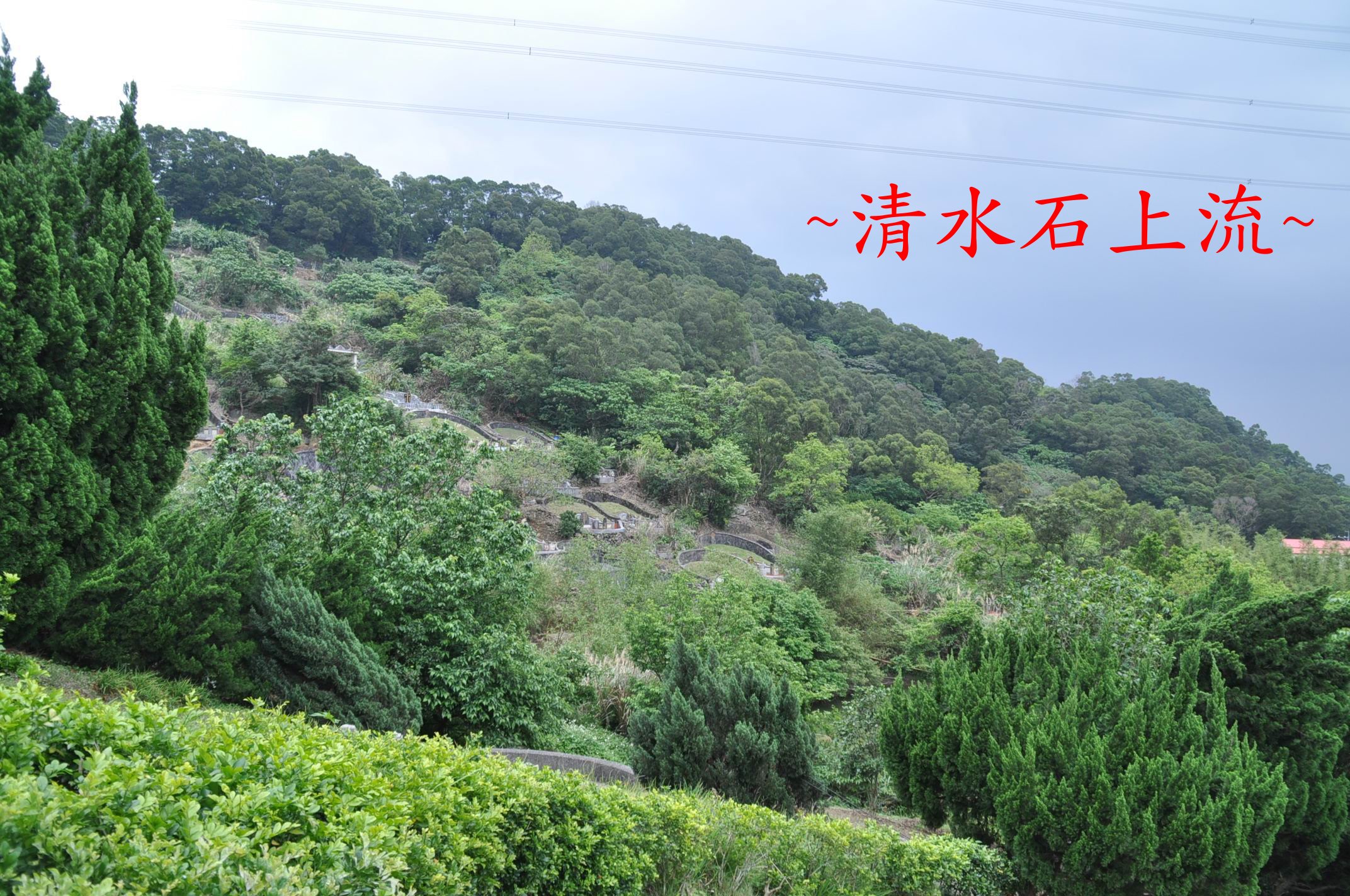 A龍砂.jpg