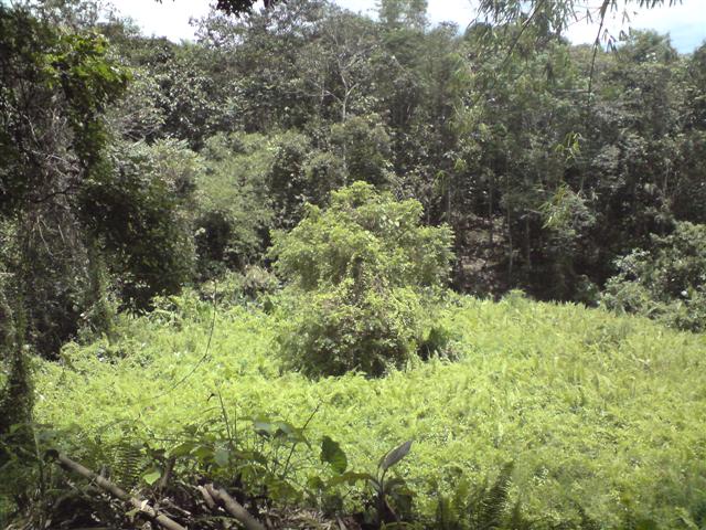 DSC00141 (Small).JPG