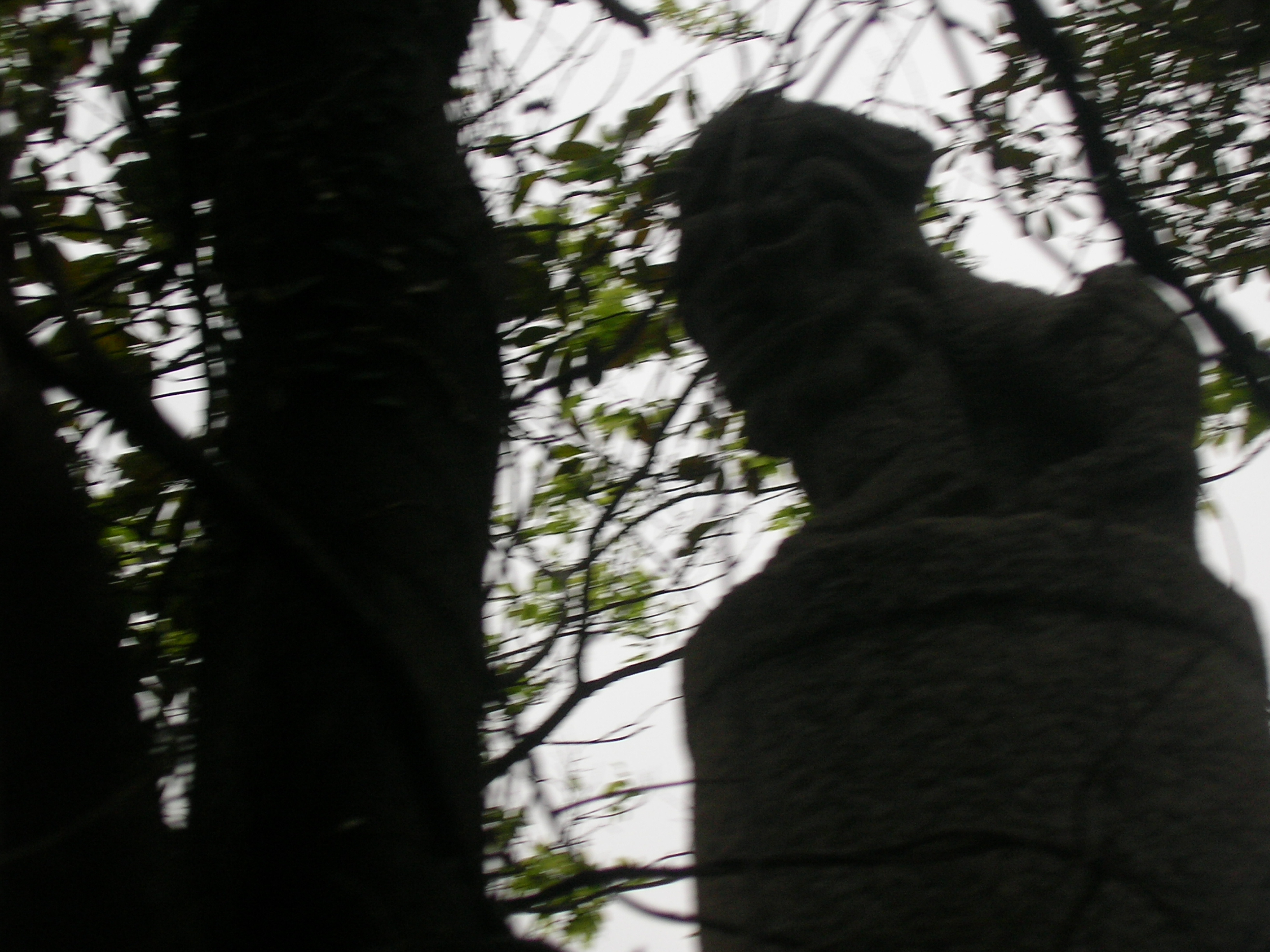 SANY0043.JPG