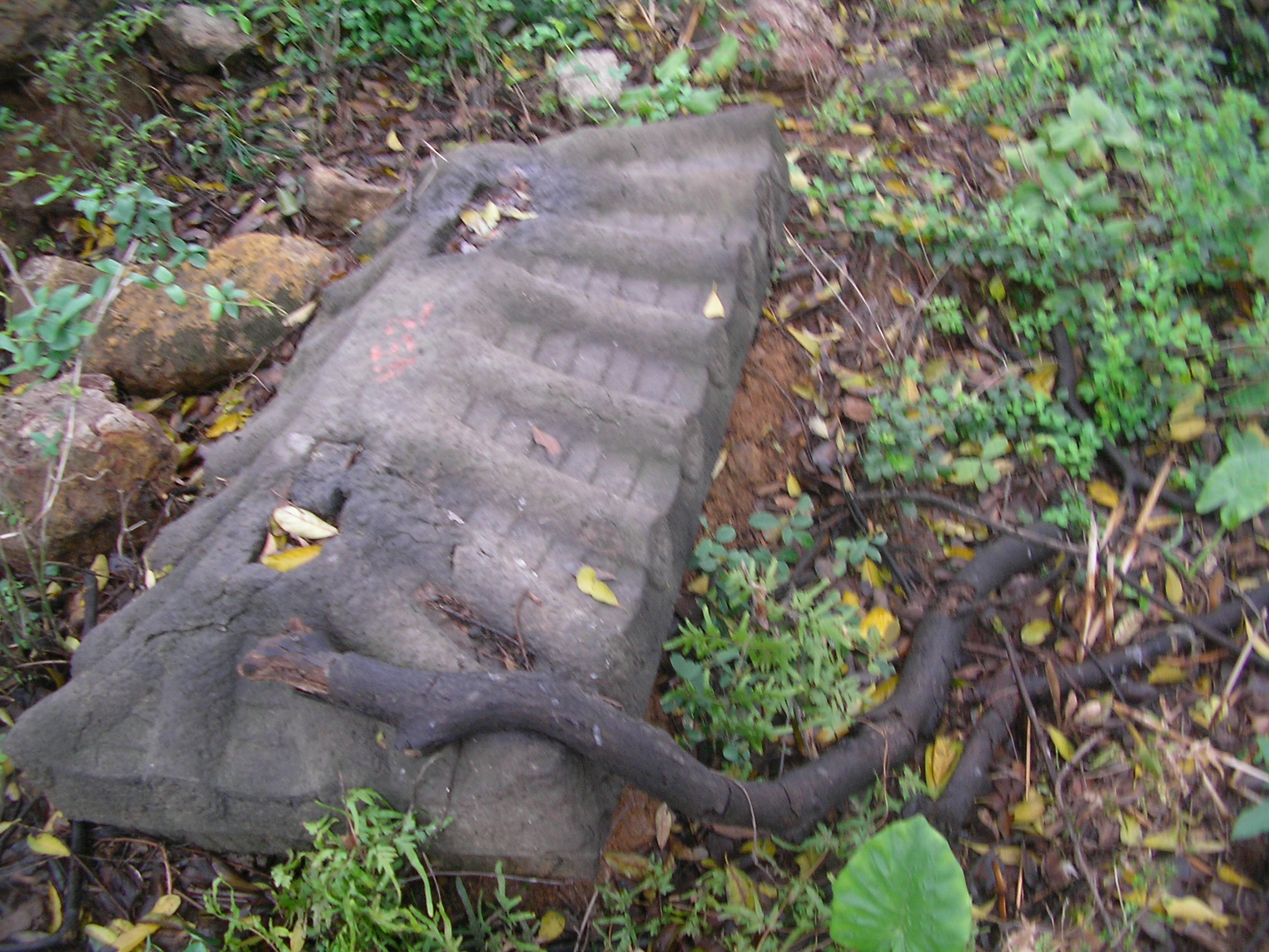 SANY0057.JPG