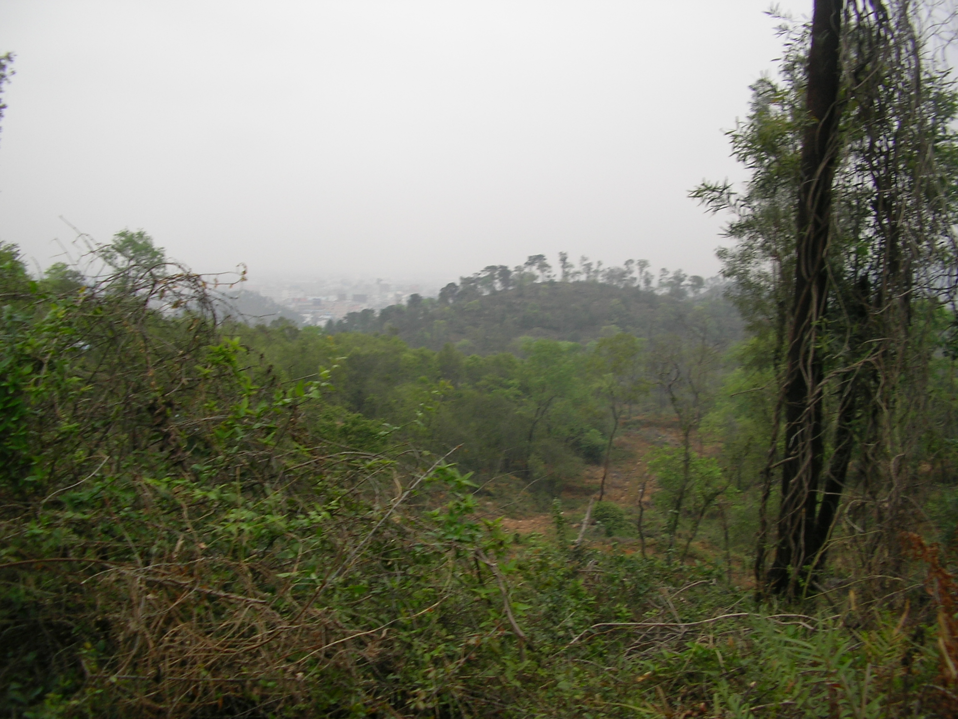 SANY0062.JPG