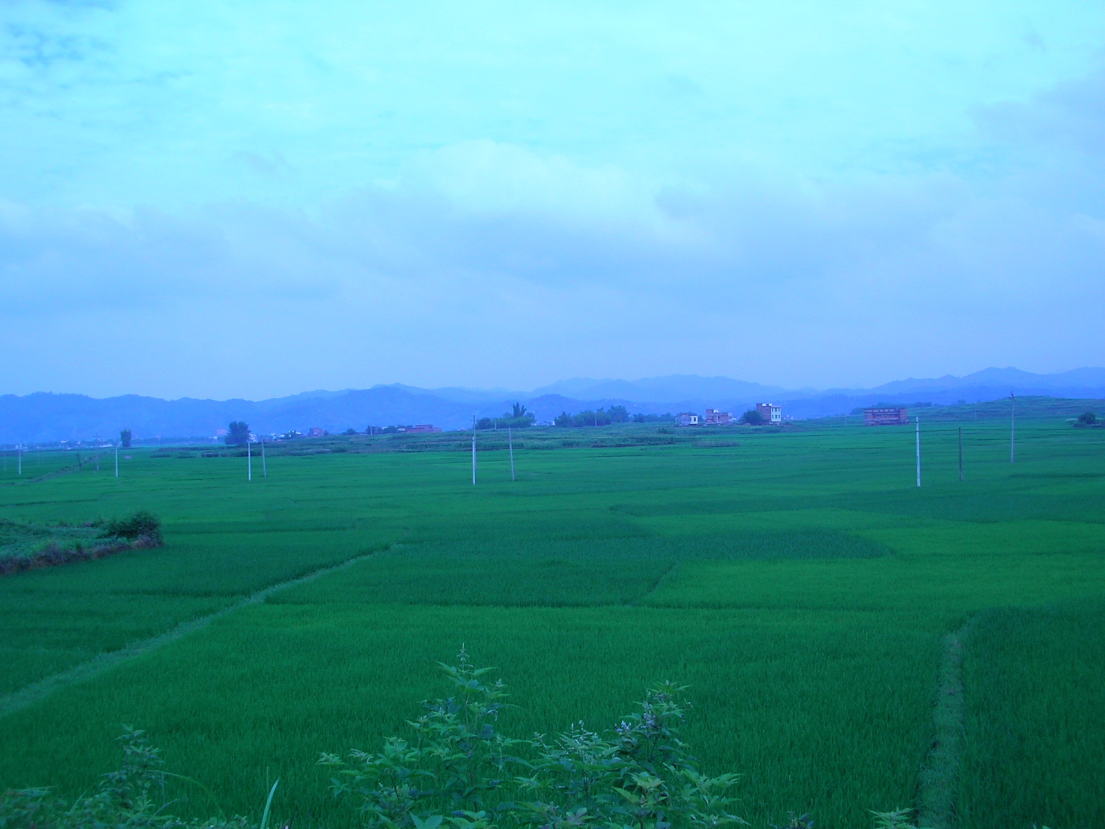 SANY0201.JPG