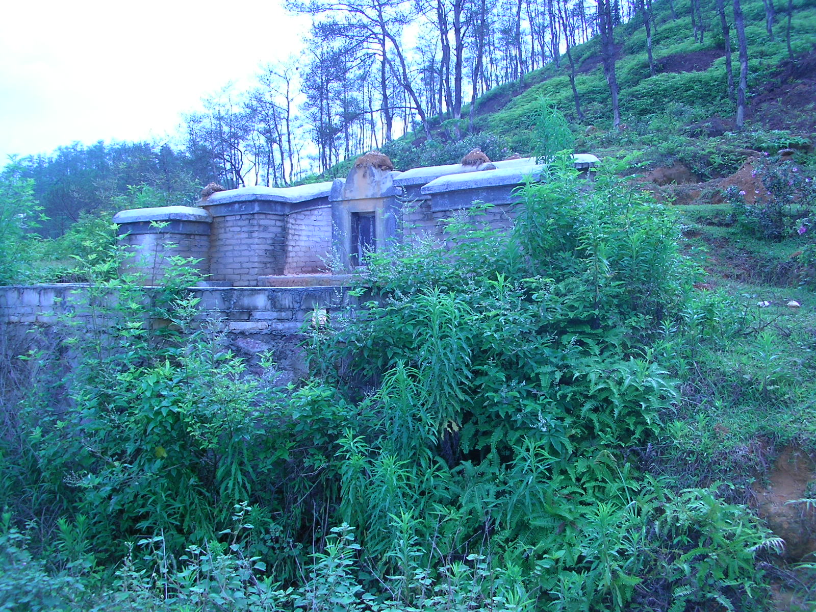 SANY0202.JPG