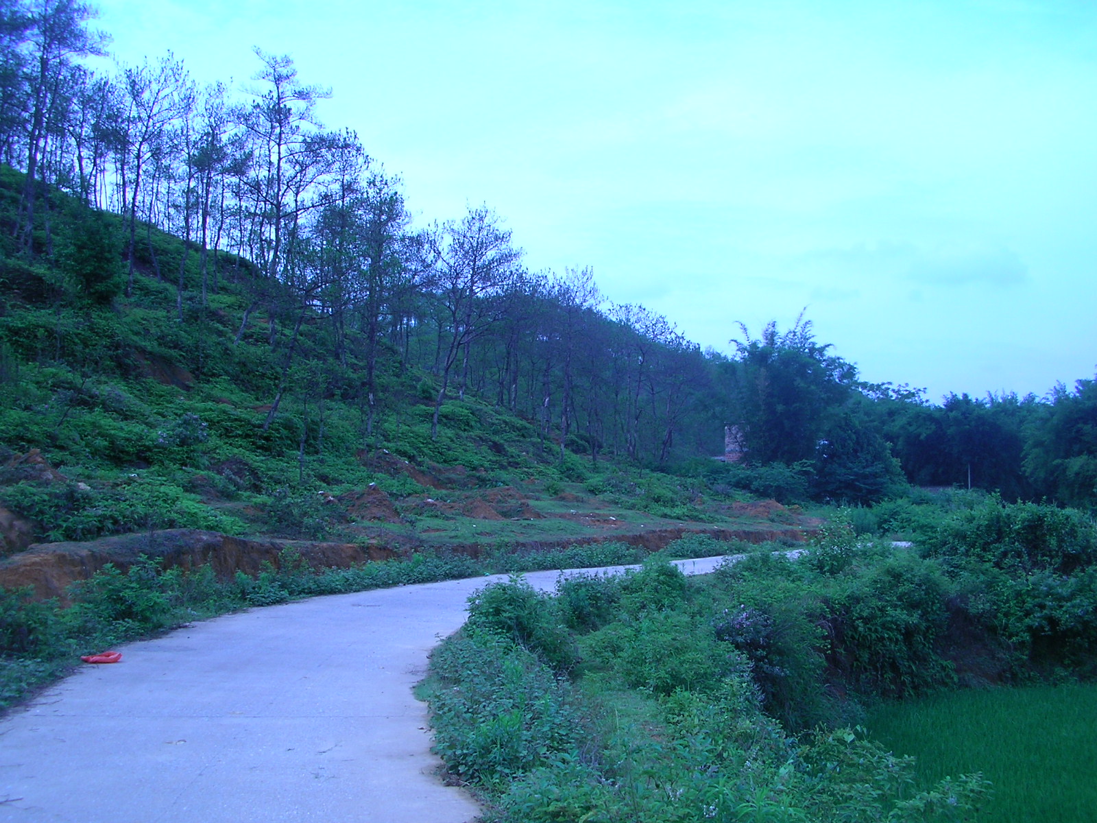 SANY0204.JPG