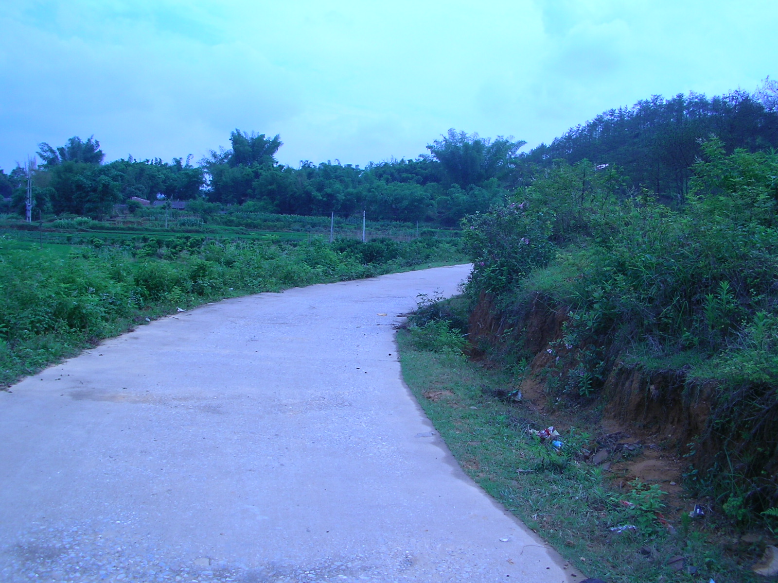 SANY0205.JPG
