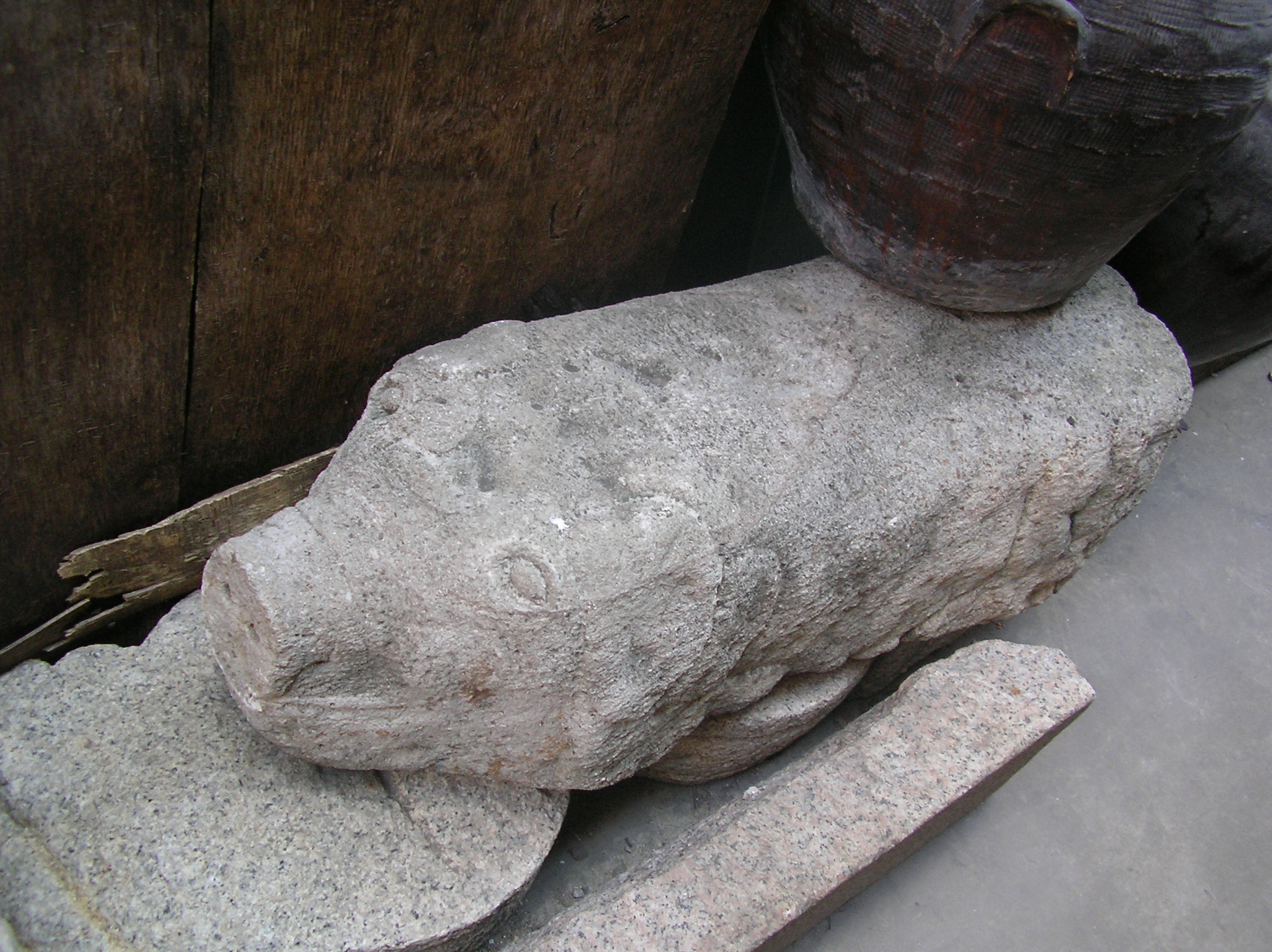 SANY0668.JPG