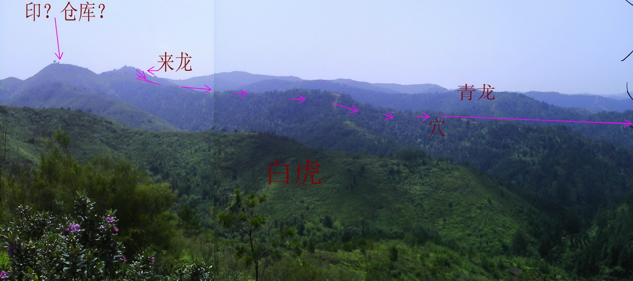 IMG_0003_副本_副本_副本.jpg