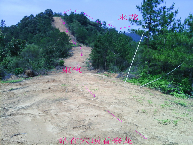 IMG_0024_副本.jpg