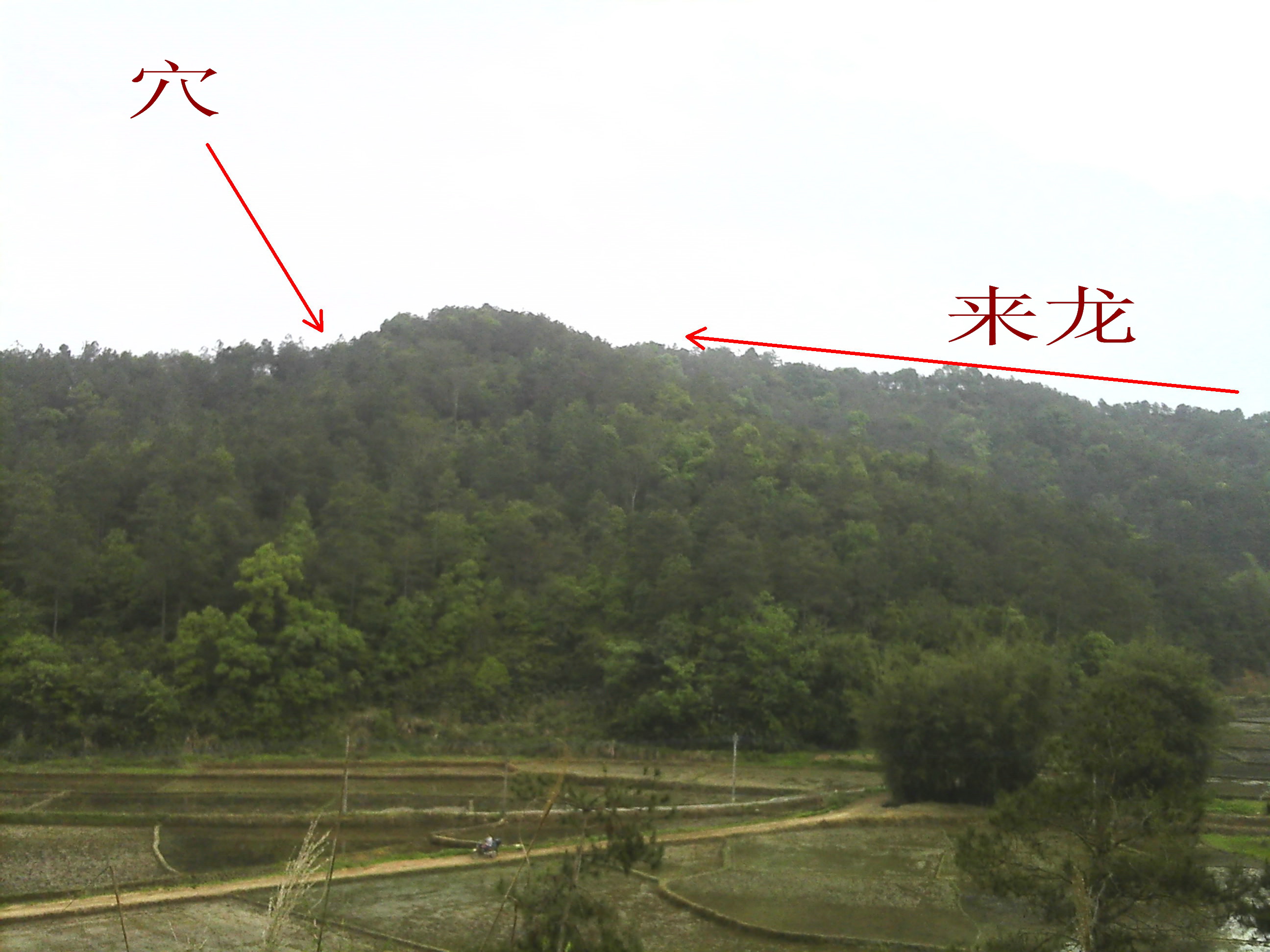 IMG_0046_副本.jpg