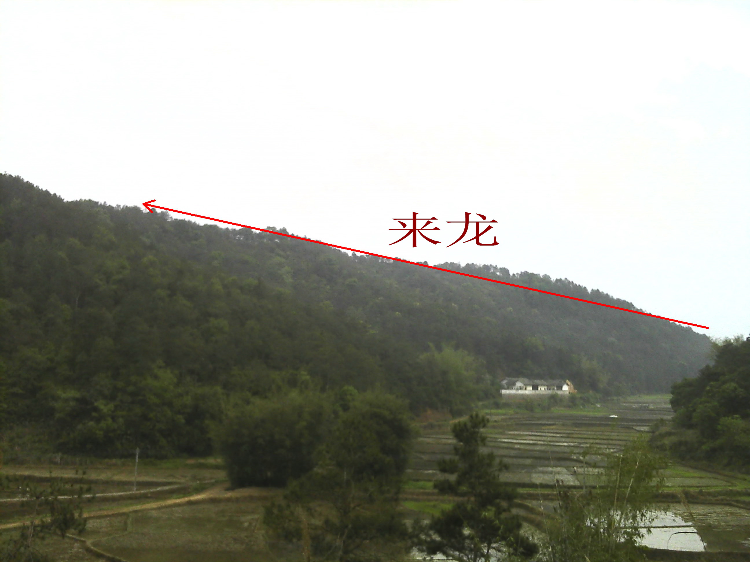 IMG_0047_副本.jpg