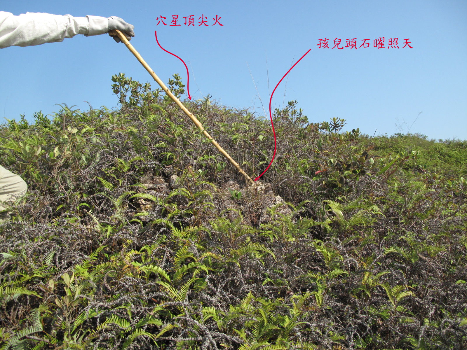 IMG_4555a穴星，孩兒頭尖火.jpg