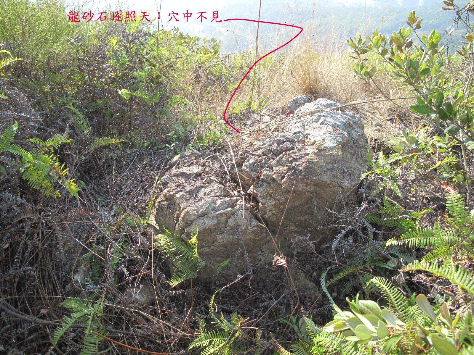 IMG_4560a龍砂石曜照天.jpg