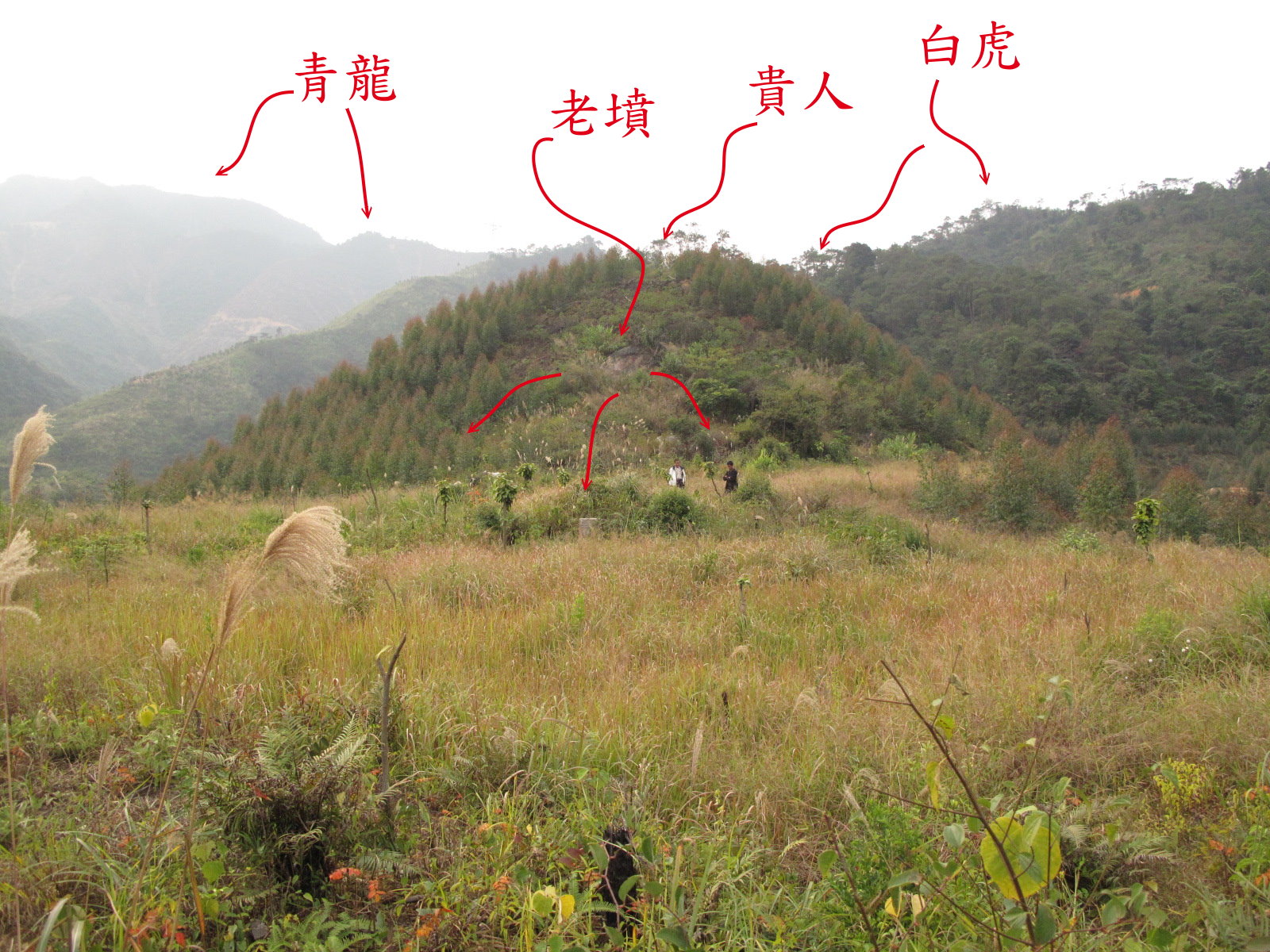 IMG_4857aa貴人正看.jpg