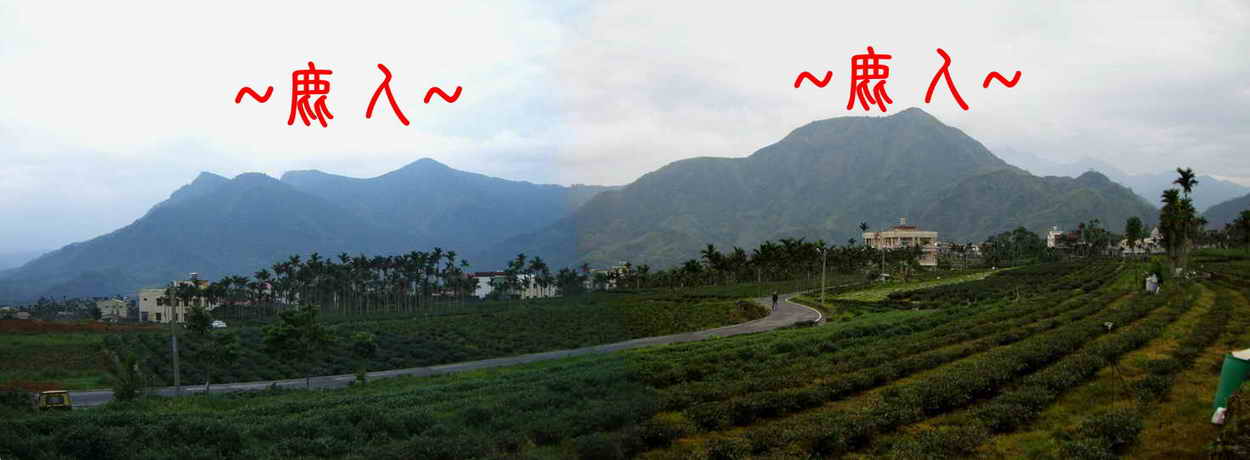 Stitched_017.JPG