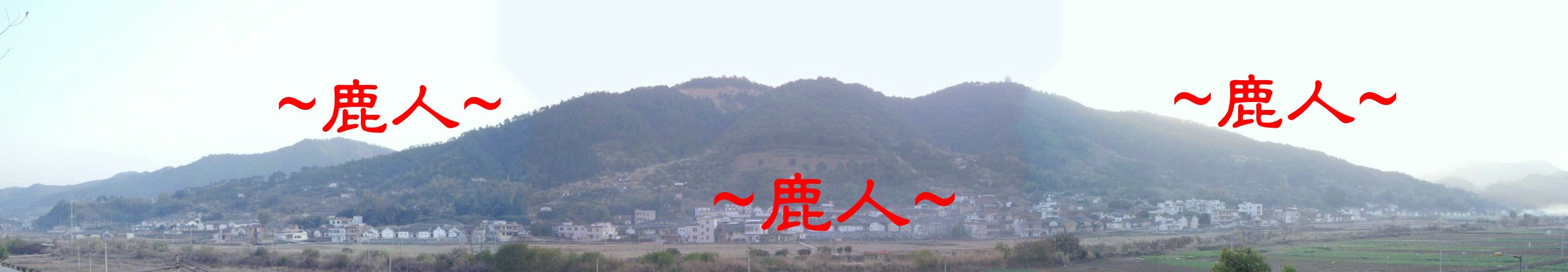 Stitched_28003展翅欲飛.JPG