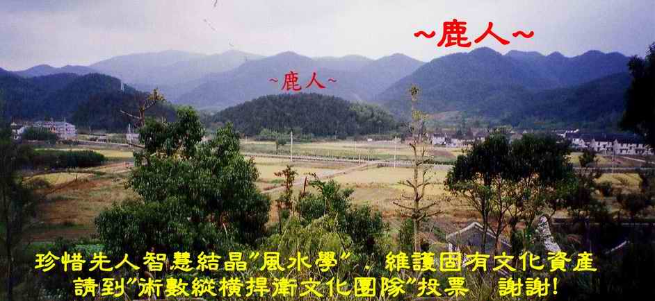 宋史家_翼國夫人墓7.JPG